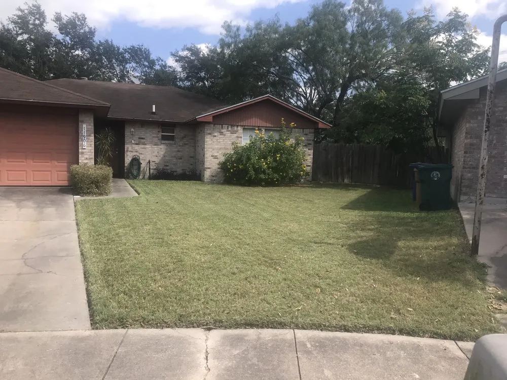 Trusted yard cleanup service in Corpus Christi, TX by New Leaf Yard Services