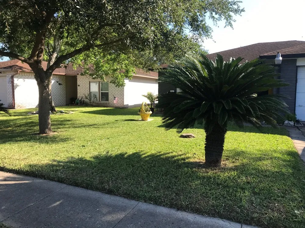 Affordable residential landscaping in Corpus Christi, TX by New Leaf Yard Services