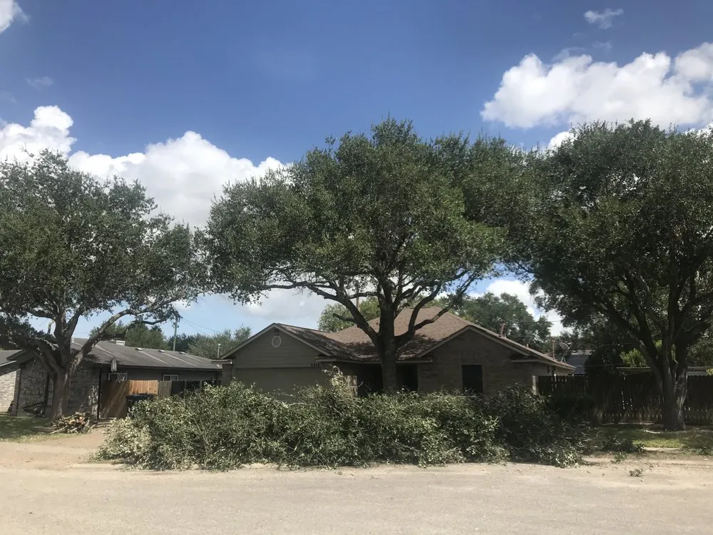 Custom yard maintenance in Corpus Christi, TX by New Leaf Yard Services