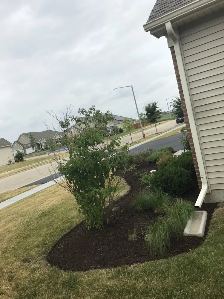 Top-rated garden landscaping experts serving Joliet, IL - New Level Landscaping