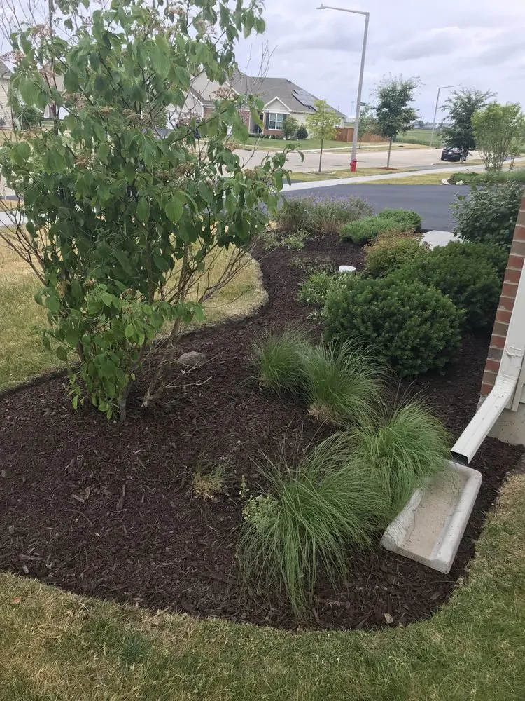 Trusted yard cleanup service in Joliet, IL - New Level Landscaping