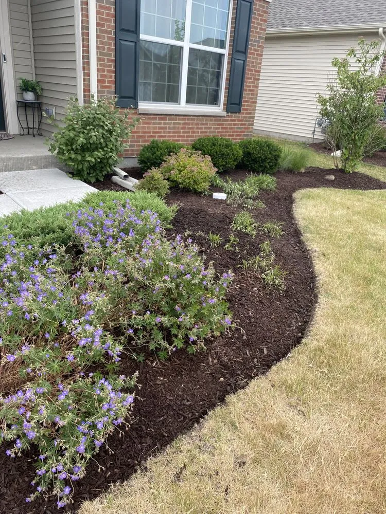 Reliable landscape installation in Joliet, IL by New Level Landscaping