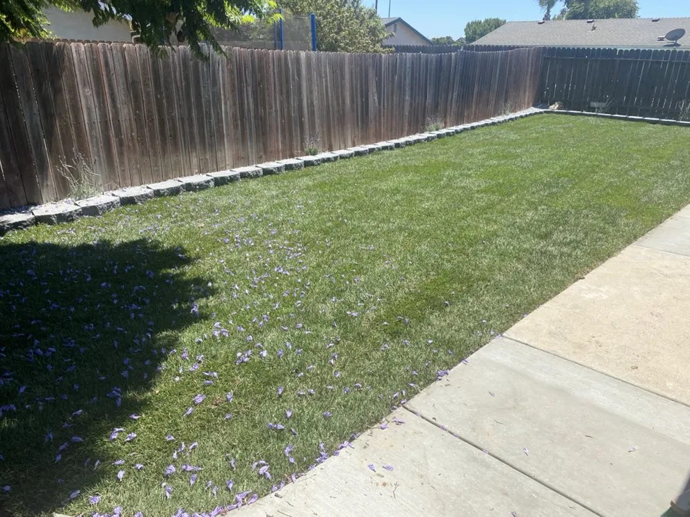 Trusted yard cleanup service in Santa Maria, CA - New Life Landscape