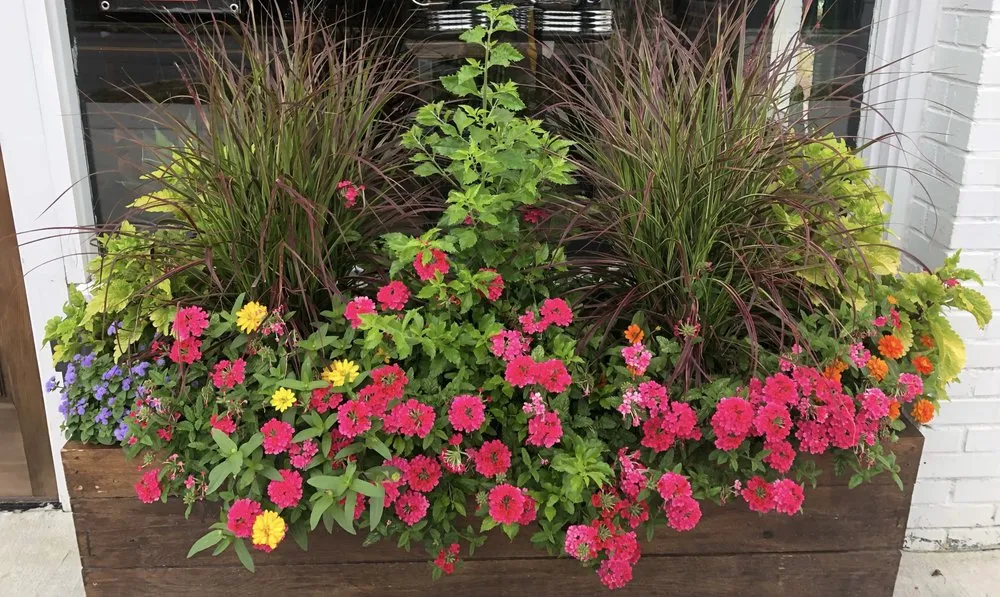 Affordable outdoor landscaping experts serving Norcross, GA - New Life Landscapes