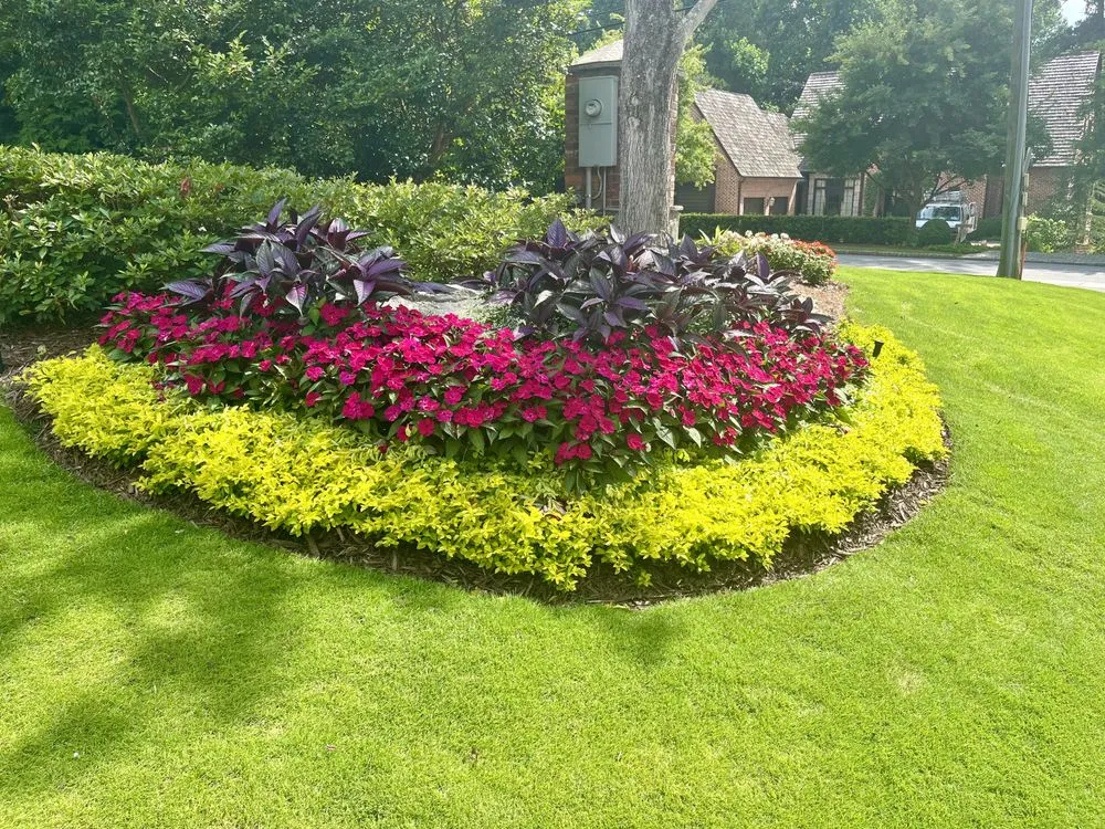 Custom yard cleanup service for residential properties across Norcross, GA - New Life Landscapes