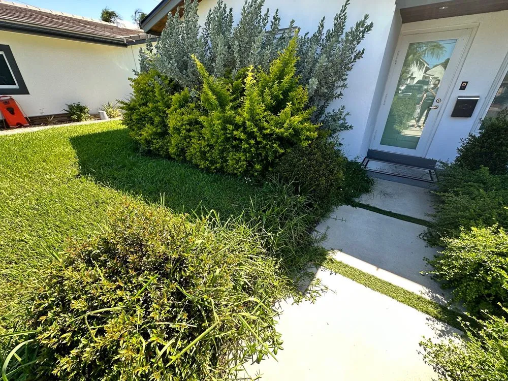 Trusted lawn mowing service with custom design across Fort Lauderdale, FL - New Life Landscaping