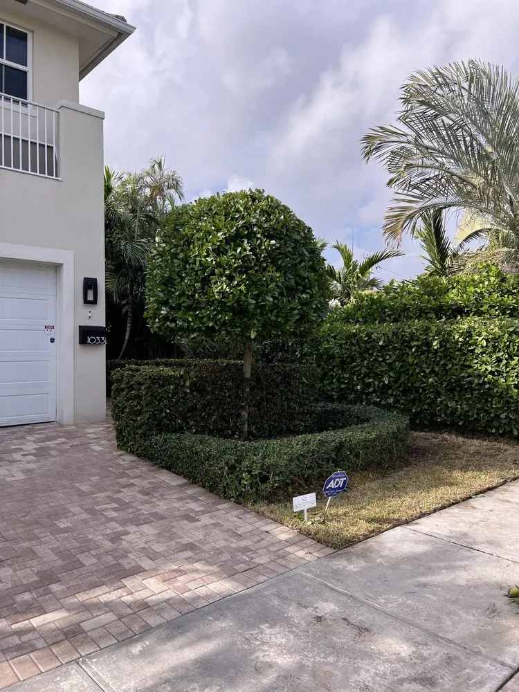 Trusted yard cleanup service experts serving Fort Lauderdale, FL - New Life Landscaping