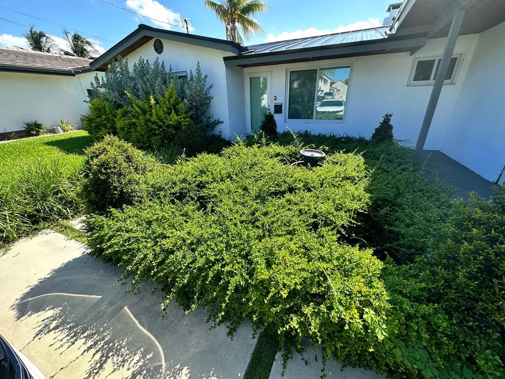 Reliable yard maintenance in Fort Lauderdale, FL - New Life Landscaping