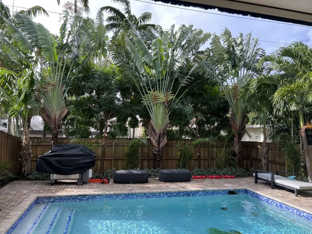 Affordable yard maintenance in Fort Lauderdale, FL by New Life Landscaping