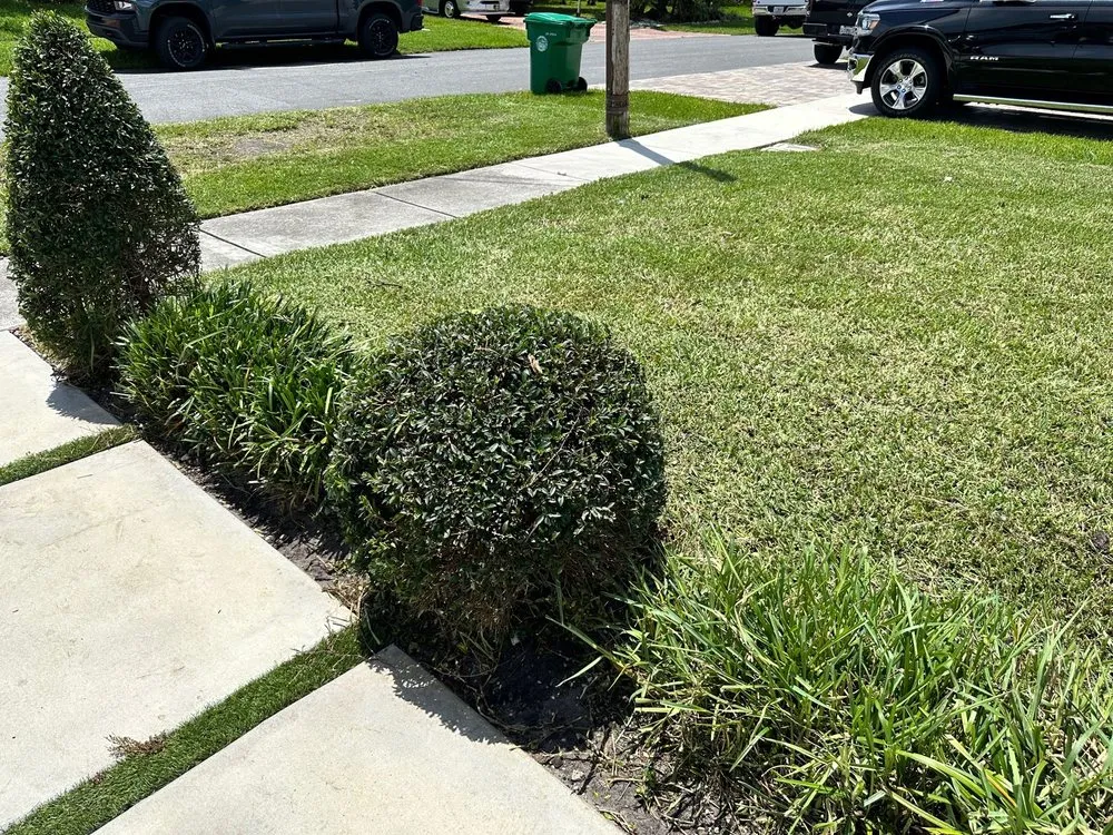 Custom yard maintenance in Fort Lauderdale, FL - New Life Landscaping