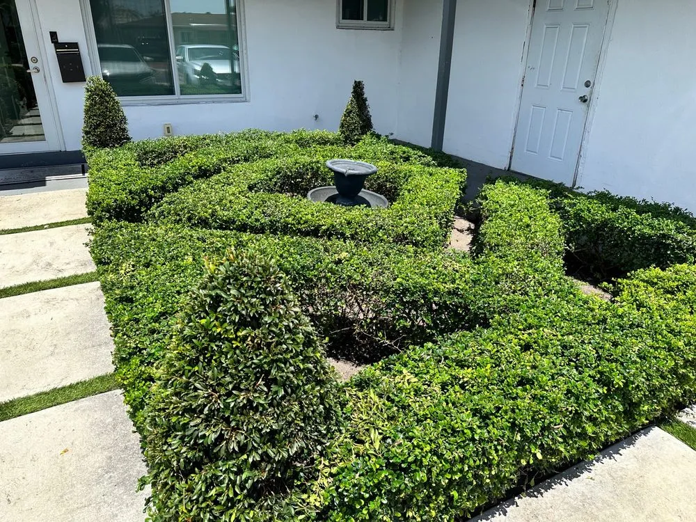 Reliable landscaping services near you across Fort Lauderdale, FL - New Life Landscaping