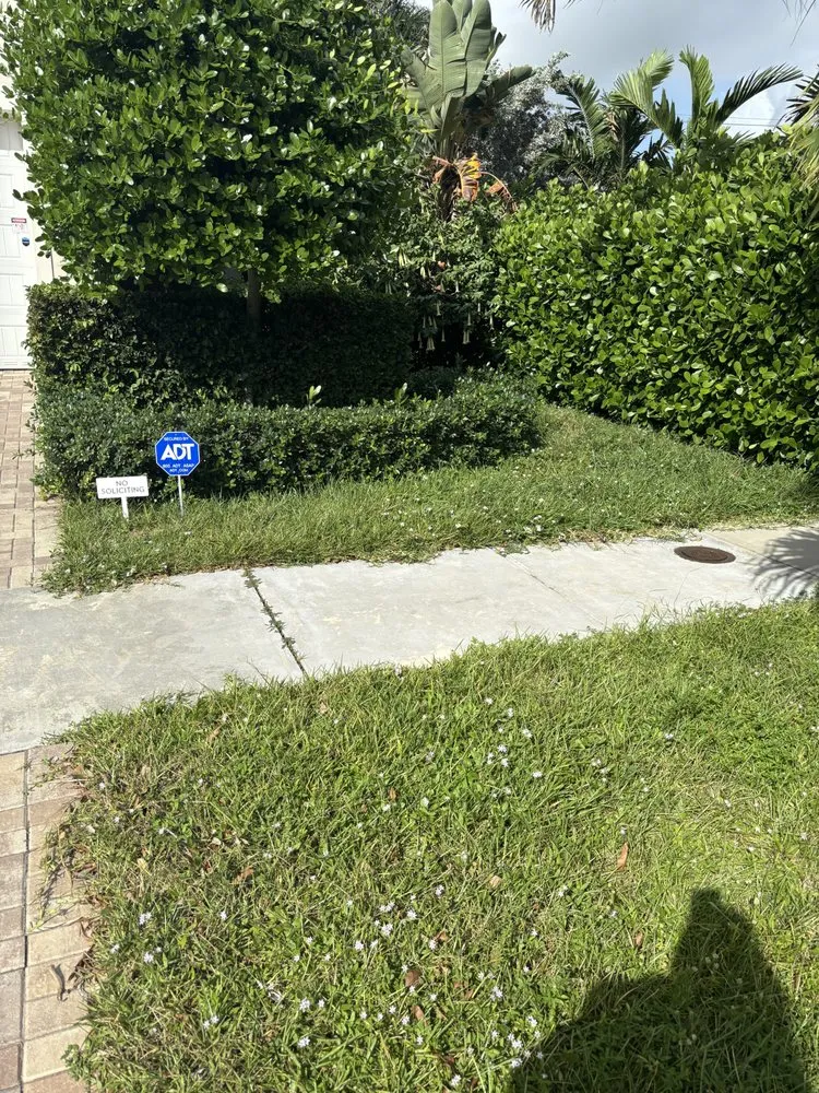 Custom landscaping services for homes across Fort Lauderdale, FL - New Life Landscaping