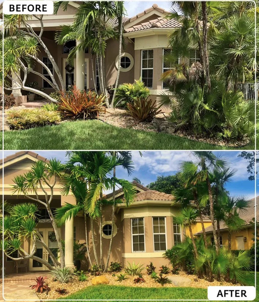 Custom lawn mowing service in Fort Lauderdale, FL - New Life Landscaping