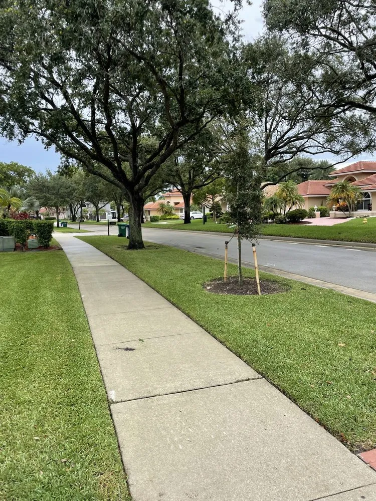 Expert yard maintenance for year-round maintenance in Fort Lauderdale, FL by New Life Landscaping