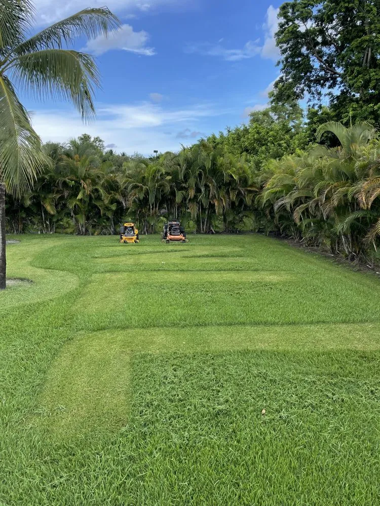 Trusted garden landscaping for outdoor upgrades in Fort Lauderdale, FL by New Life Landscaping
