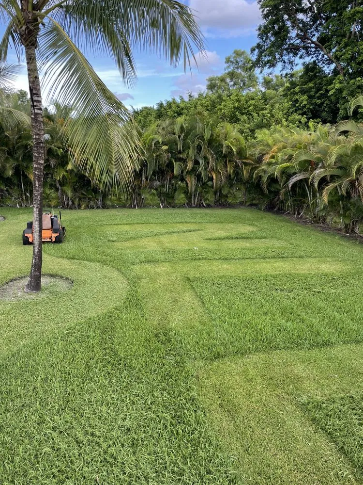 Affordable outdoor landscaping for year-round maintenance in Fort Lauderdale, FL by New Life Landscaping