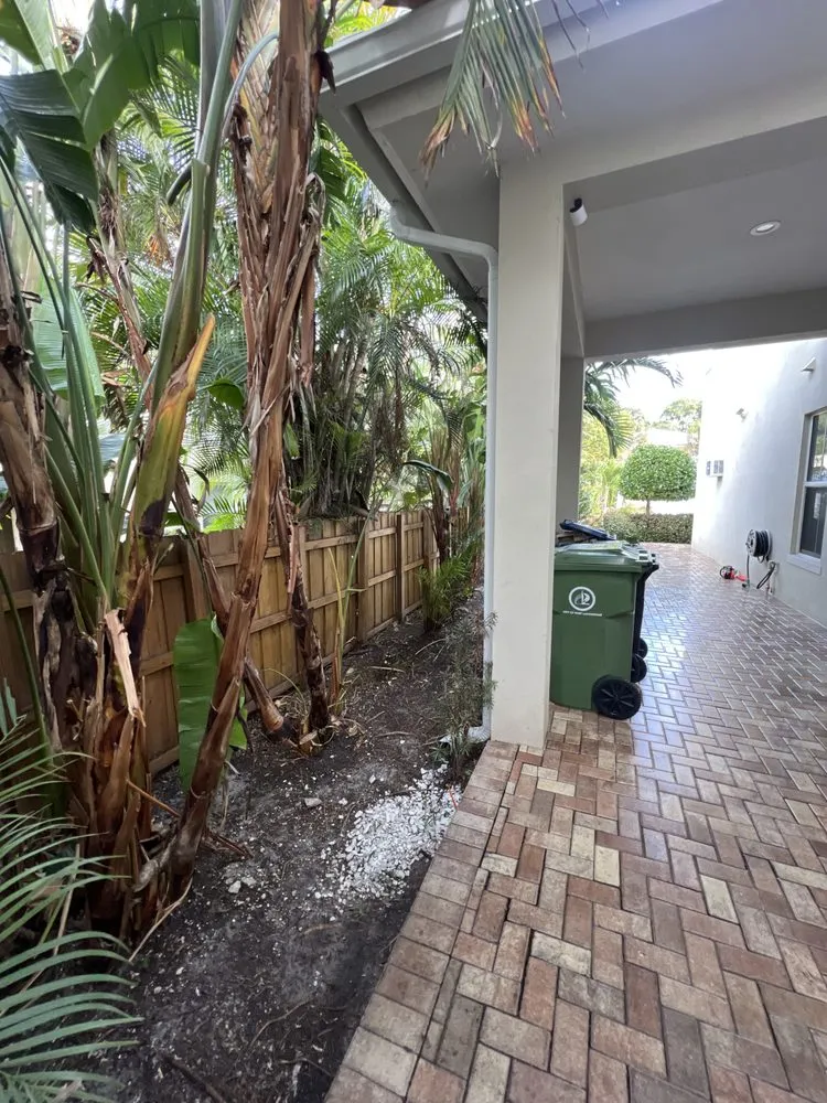 Top-rated yard maintenance in Fort Lauderdale, FL by New Life Landscaping