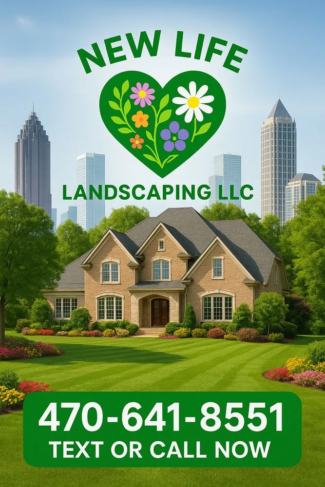 Top-rated landscape design for outdoor upgrades across Riviera Beach, FL - New Life Landscaping