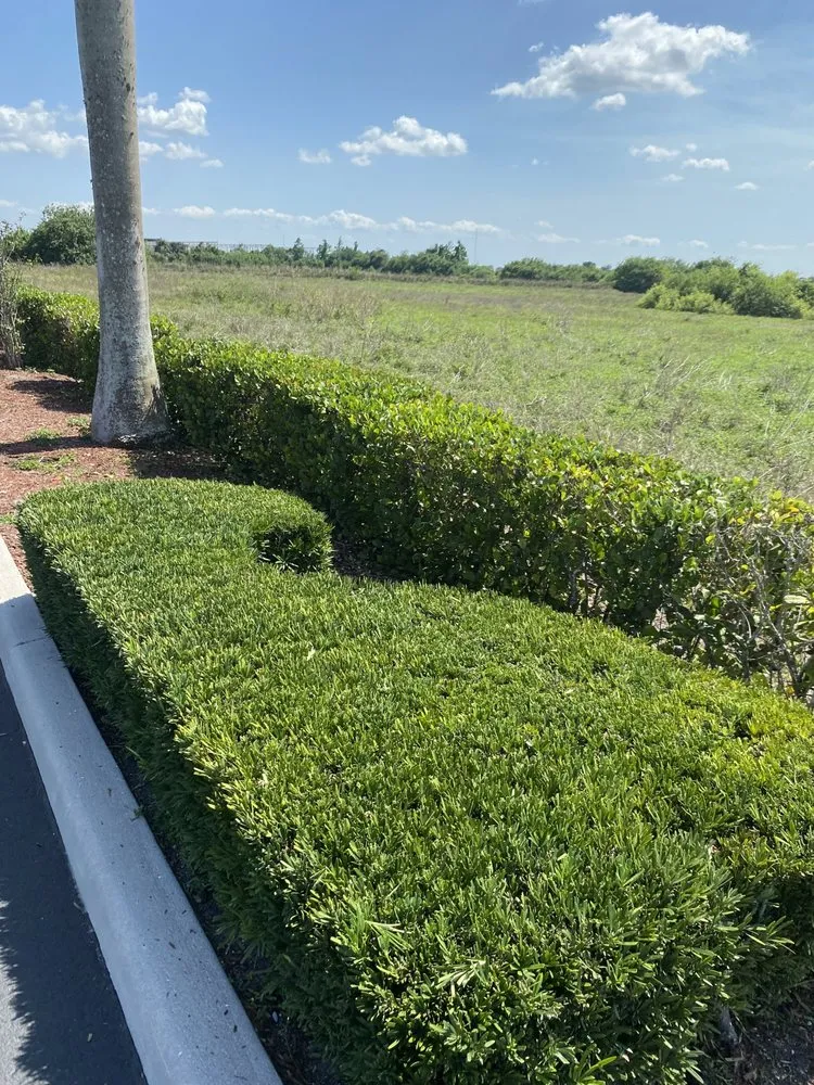 Reliable outdoor landscaping in Riviera Beach, FL by New Life Landscaping