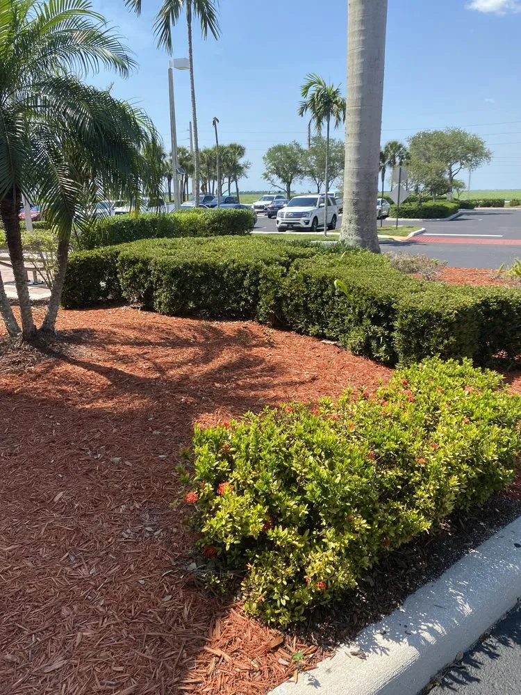 Affordable yard cleanup service for outdoor upgrades in Riviera Beach, FL by New Life Landscaping
