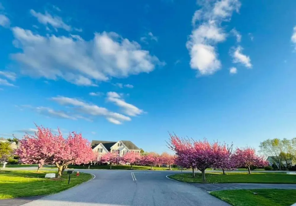 Custom landscape installation experts serving Seaford, DE - New Life Landscaping