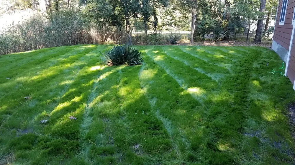 Expert lawn care service experts serving Seaford, DE - New Life Landscaping