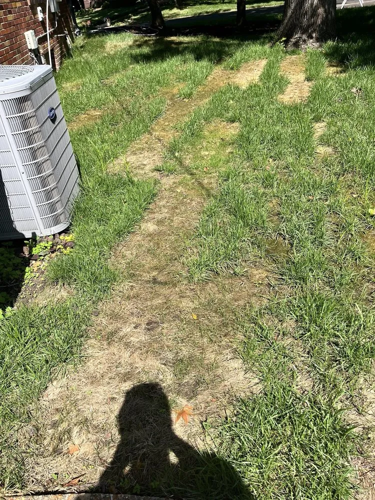 Trusted lawn mowing service for beautiful yards across St. Louis, MO - New Life Landscaping