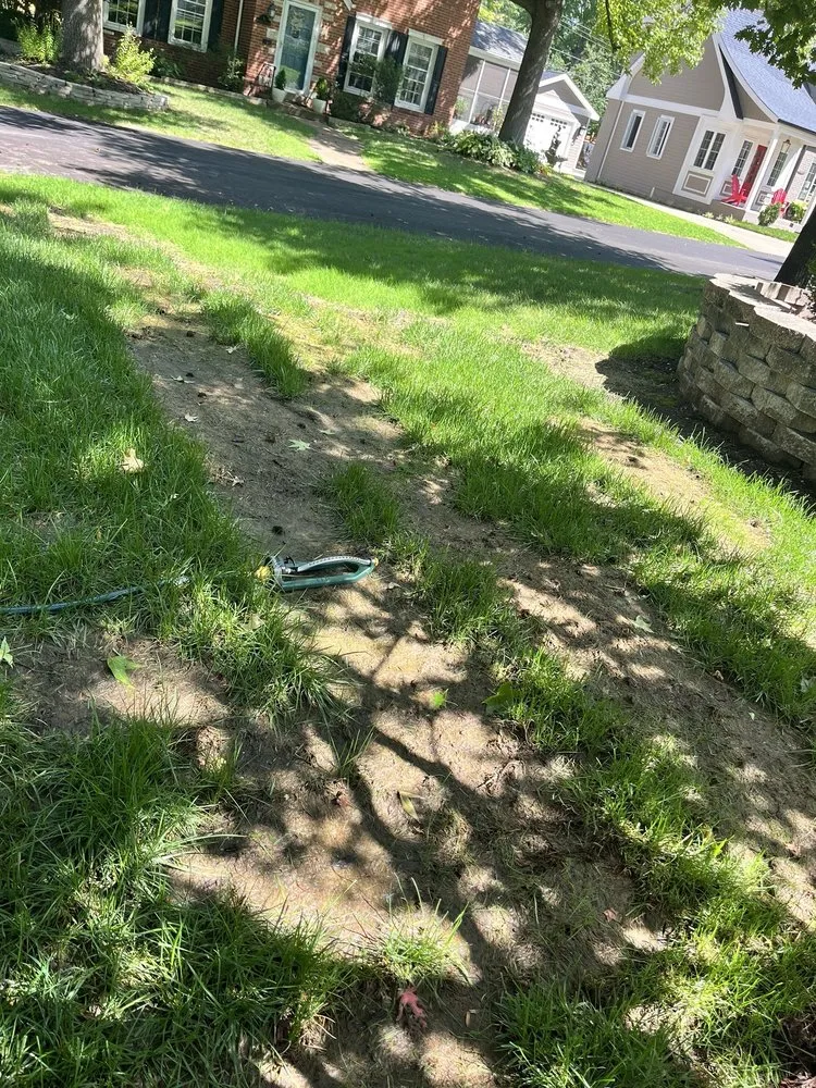 Professional landscape design for residential properties in St. Louis, MO by New Life Landscaping