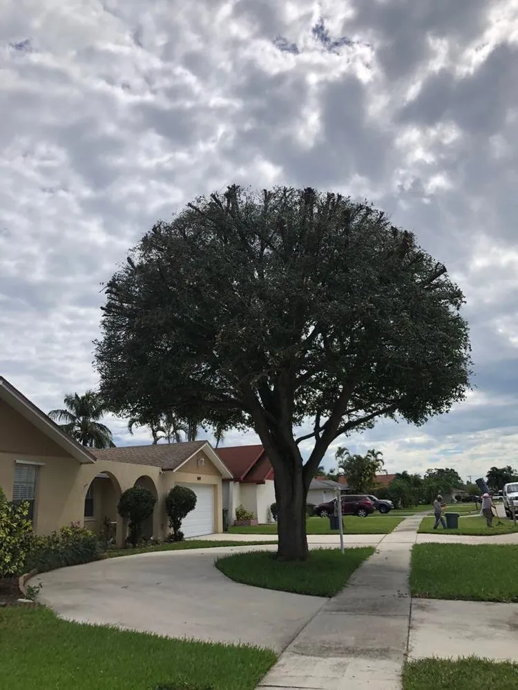 Reliable lawn mowing service in Lake Worth, FL by New Life Lawn Care & Landscaping