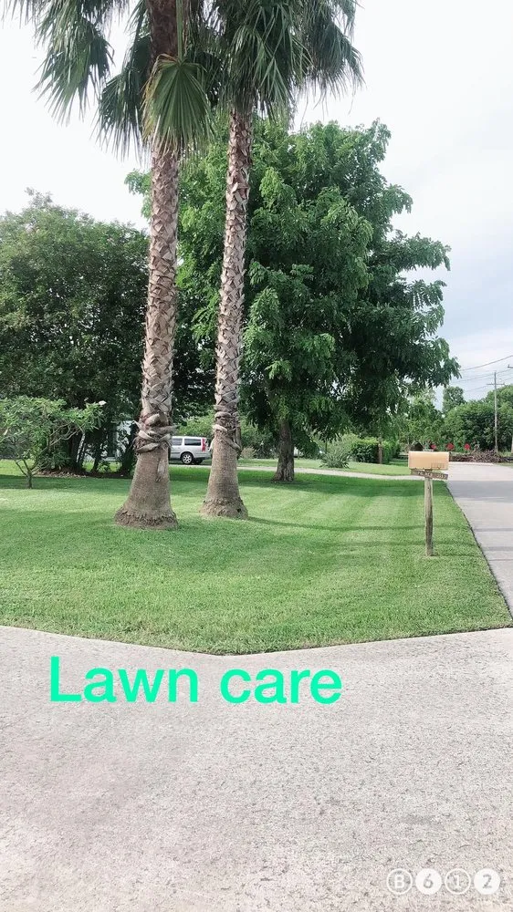 Affordable lawn mowing service in Lake Worth, FL - New Life Lawn Care & Landscaping