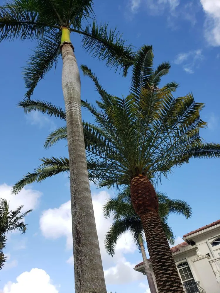 Custom landscape design in Lake Worth, FL - New Life Lawn Care & Landscaping