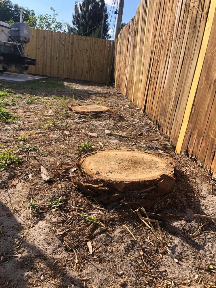 Expert garden landscaping in Lake Worth, FL by New Life Lawn Care & Landscaping