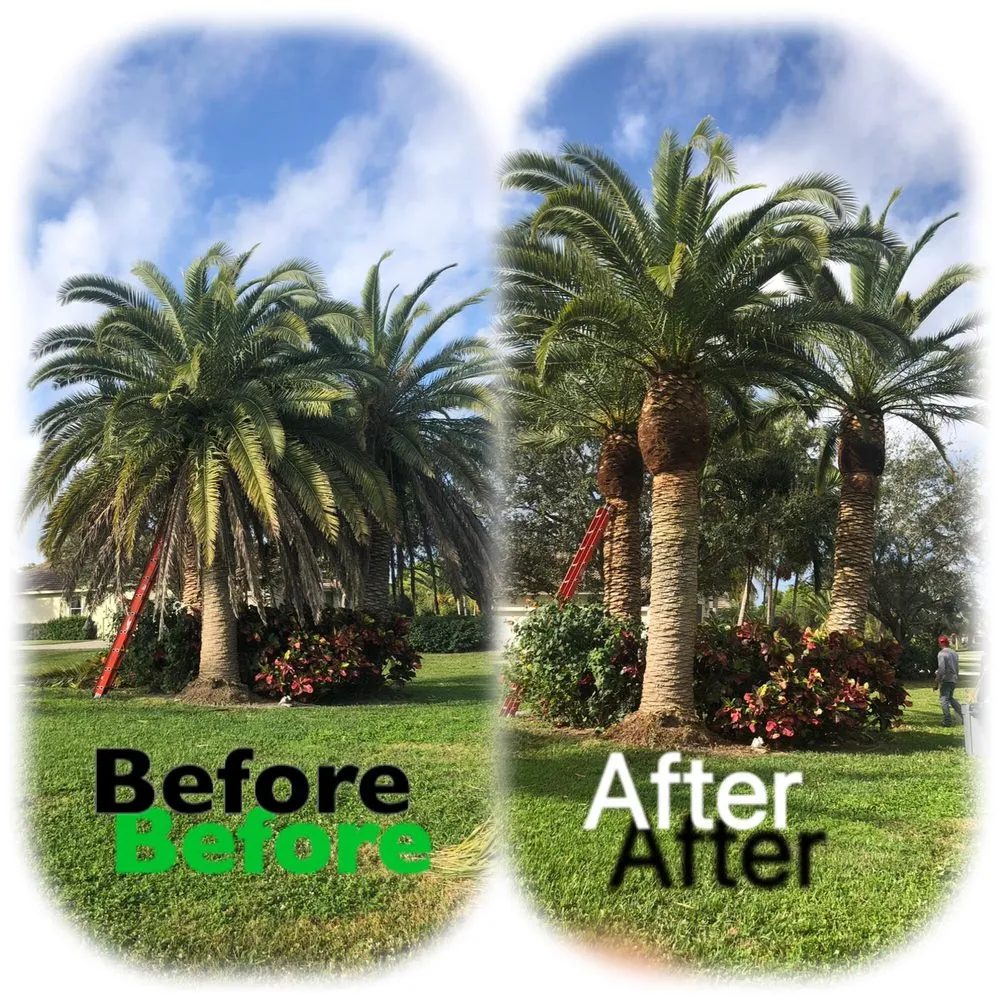 Expert yard cleanup service for year-round maintenance across Lake Worth, FL - New Life Lawn Care & Landscaping