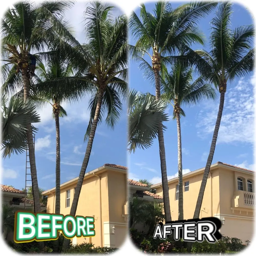 Custom residential landscaping experts serving Lake Worth, FL - New Life Lawn Care & Landscaping