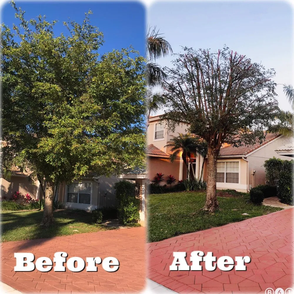 Affordable outdoor landscaping near you in Lake Worth, FL by New Life Lawn Care & Landscaping