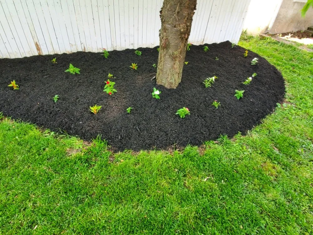 Reliable residential landscaping for beautiful yards in Temple, PA by New life Lawn Care