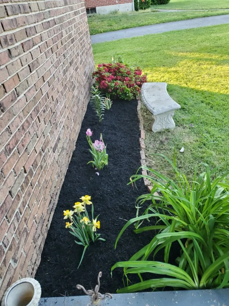 Trusted outdoor landscaping in Temple, PA - New life Lawn Care