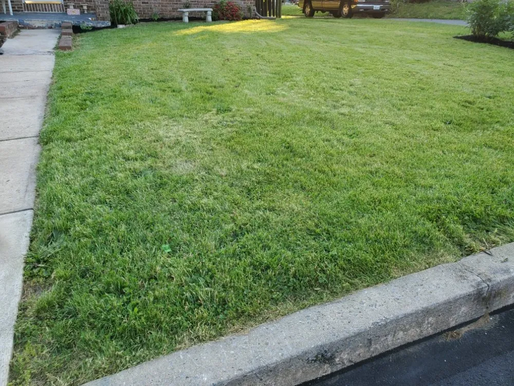 Local landscape installation in Temple, PA - New life Lawn Care