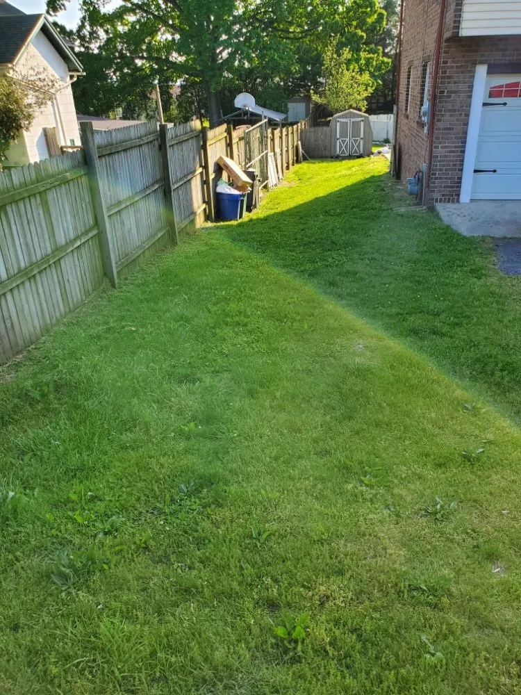 Custom landscape design experts serving Temple, PA - New life Lawn Care