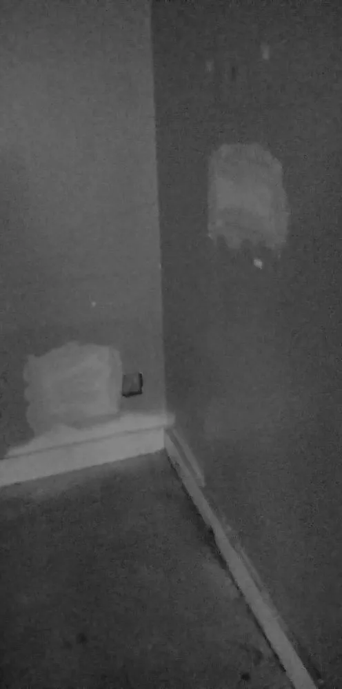 Custom landscape installation experts serving Columbus, OH - New Life painting