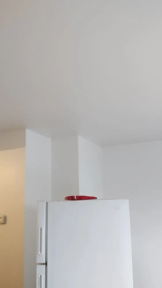 Local landscape design in Columbus, OH - New Life painting