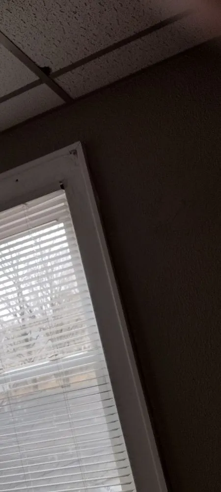 Expert outdoor landscaping experts serving Columbus, OH - New Life painting