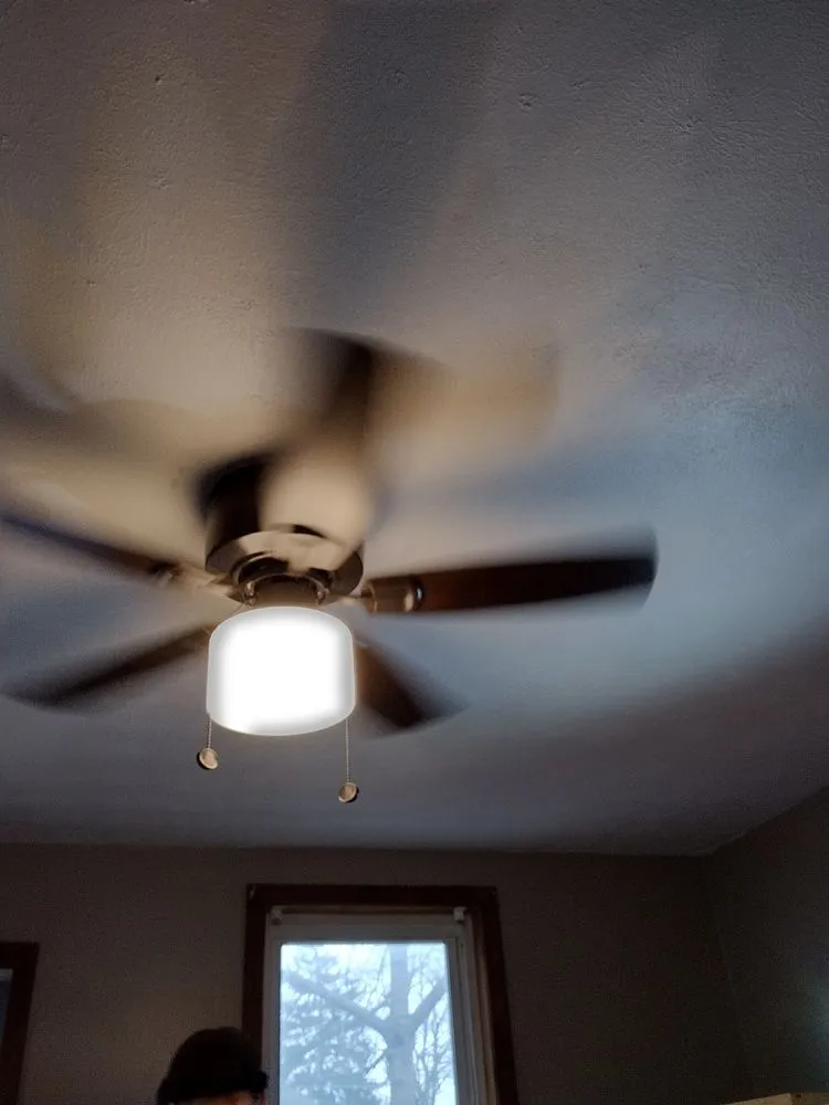 Professional garden landscaping experts serving Columbus, OH - New Life painting