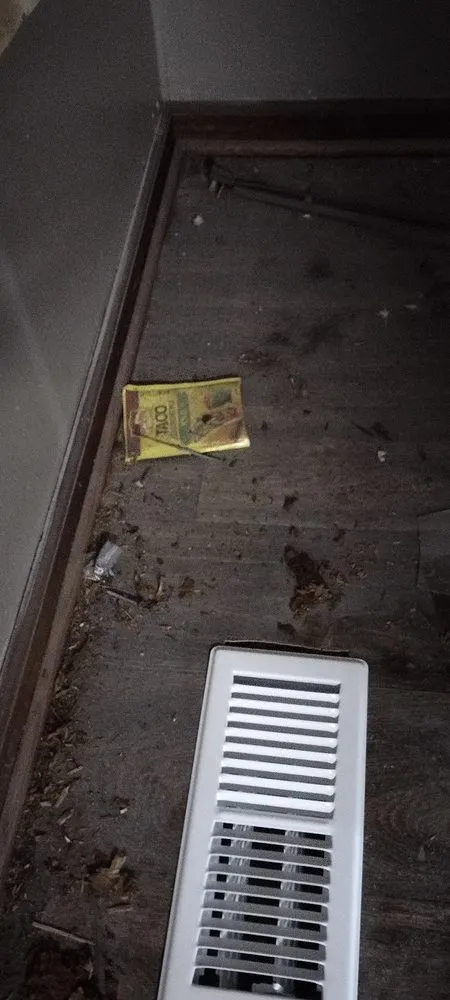 Reliable outdoor landscaping for residential properties across Columbus, OH - New Life painting