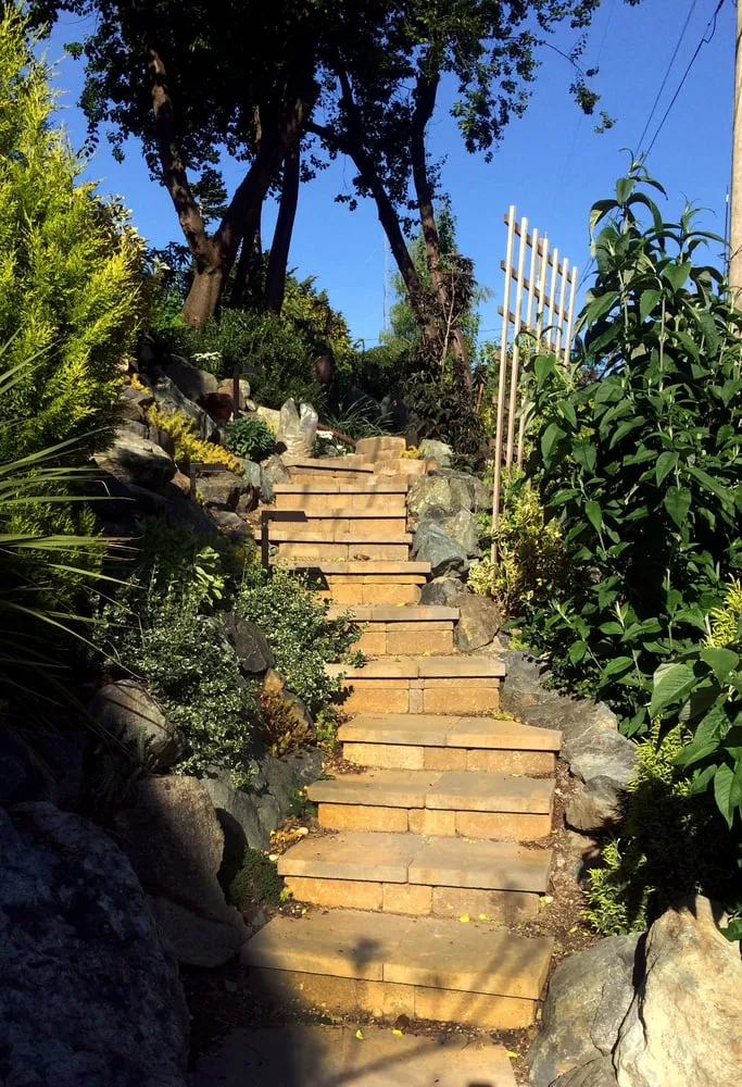 Professional landscaping services near you in Seattle, WA by New Life Rockeries of Seattle