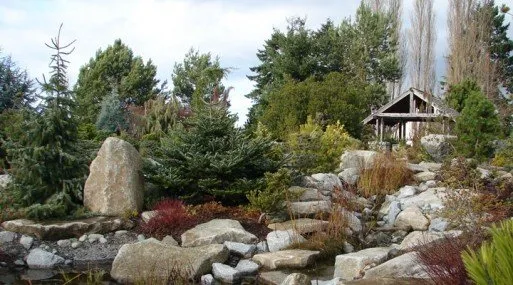 Reliable residential landscaping for year-round maintenance in Seattle, WA by New Life Rockeries of Seattle