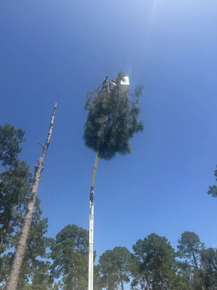 Professional garden landscaping experts serving Lyons, GA - New Life Tree Service