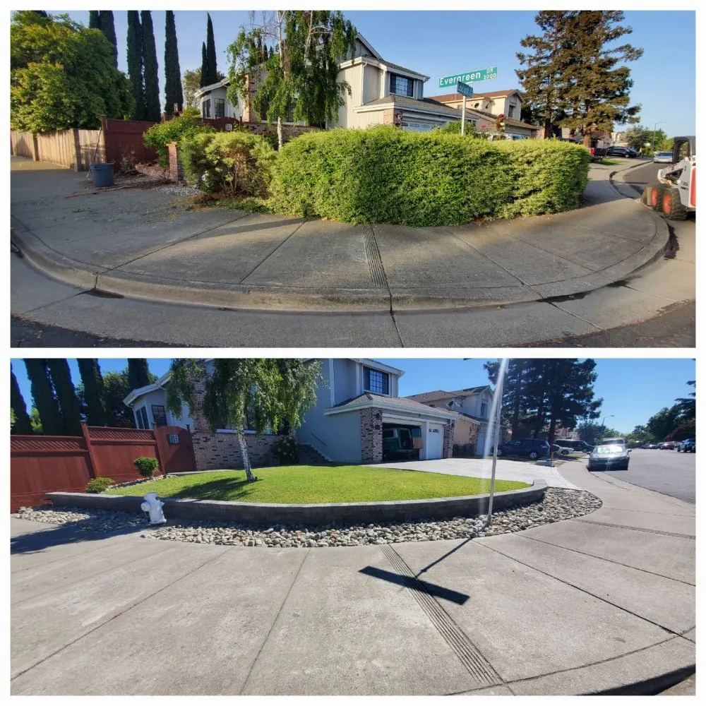 Local yard cleanup service for year-round maintenance across Farifield, CA - New Look Landscape