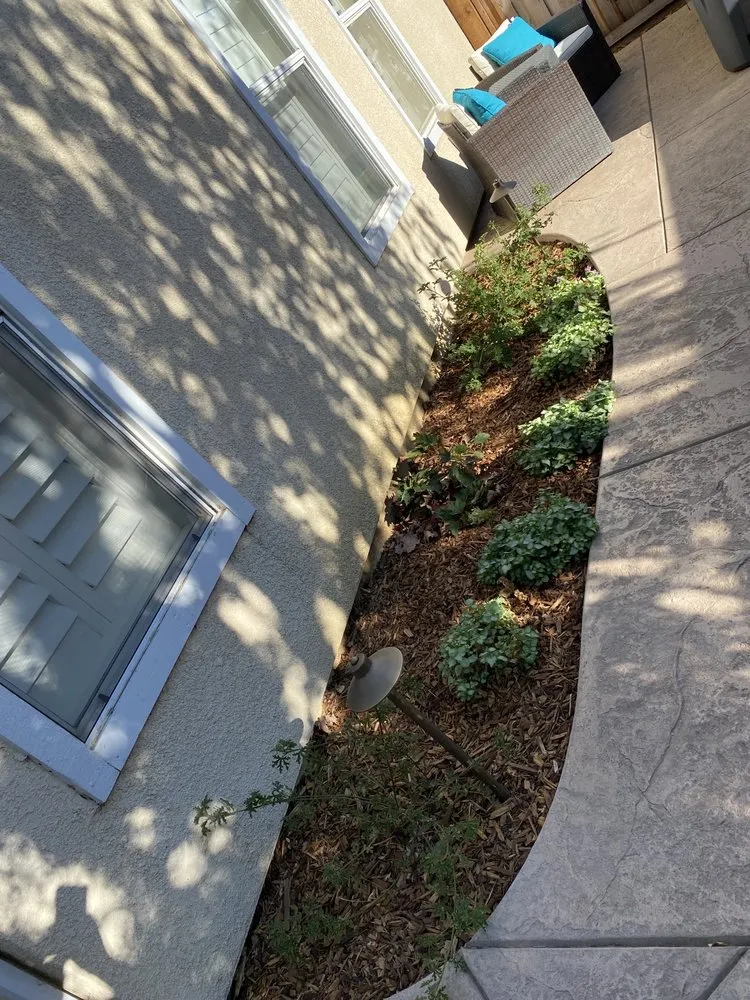 Expert lawn care service in Farifield, CA - New Look Landscape