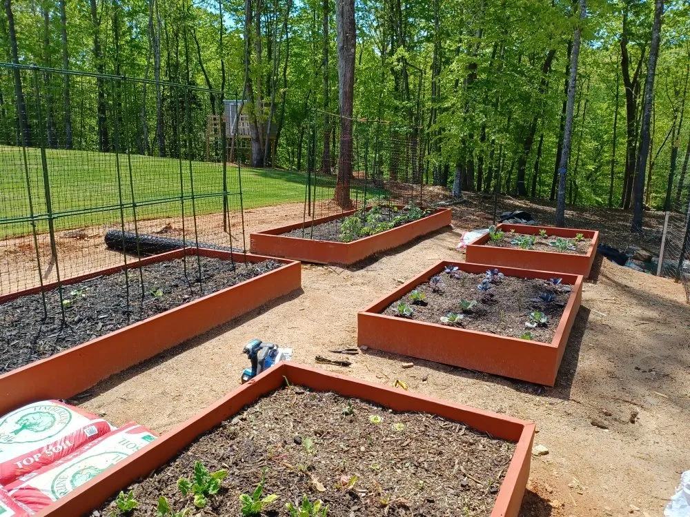 Professional yard cleanup service in Acworth, GA by New Look Landscaping Handyman